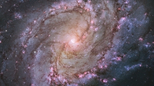Galaxy M83 (HST)